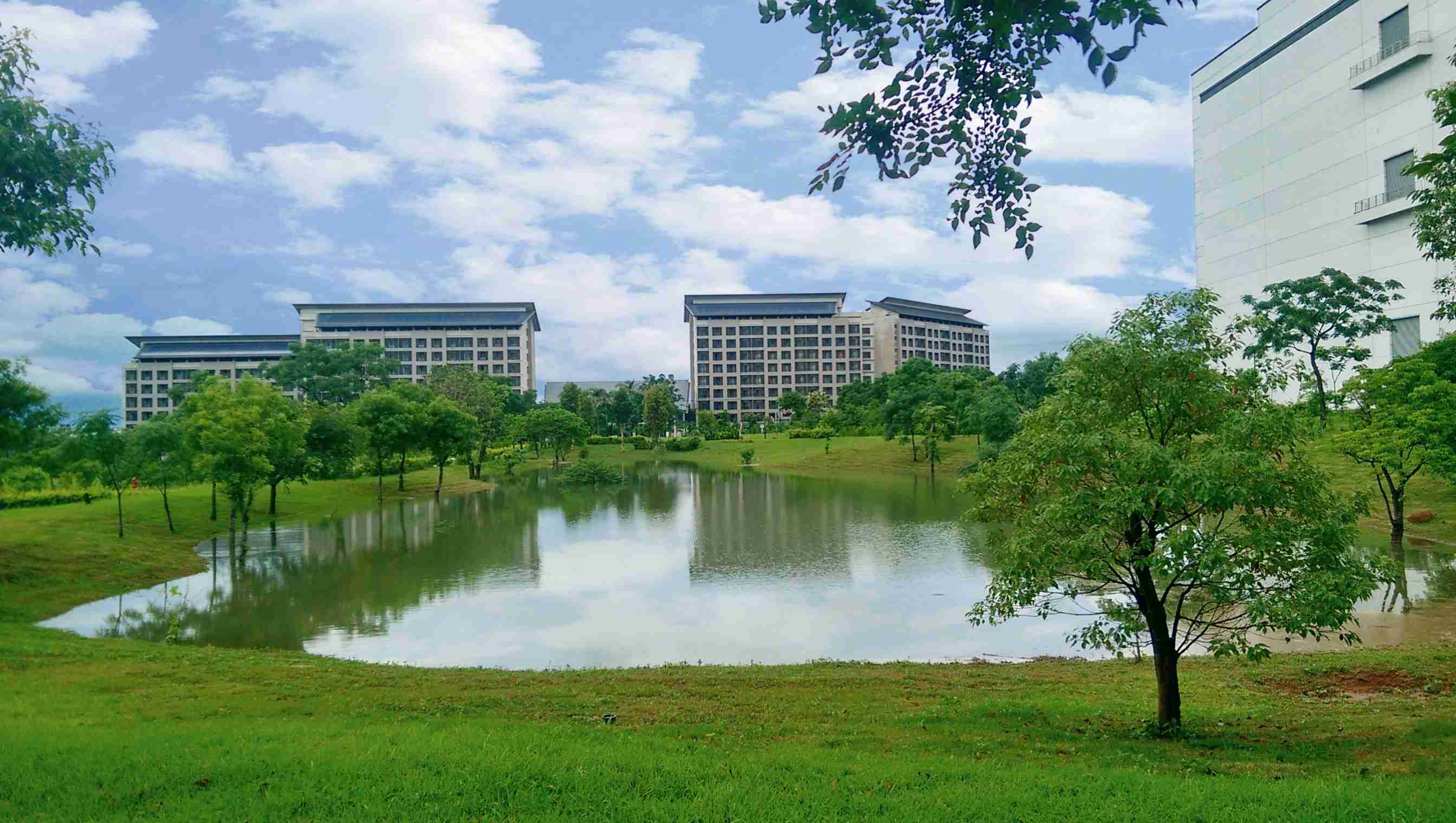 NG大舞台响应国际倡议生物多样性趋势，，，，首次发布TNFD自然相关财务揭露报告书，，，擘划及开展NG大舞台生物多样性政策之承诺，，，逐步迈向与自然和谐共生